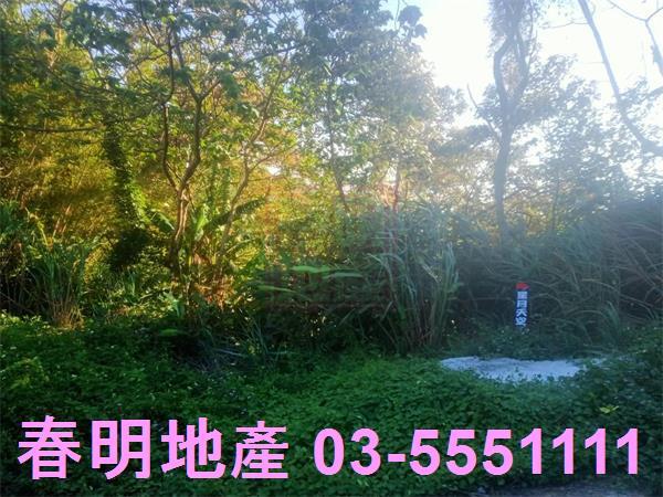 北埔農地-6