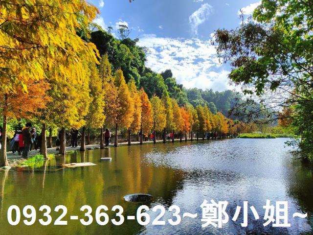 大溪農地-9