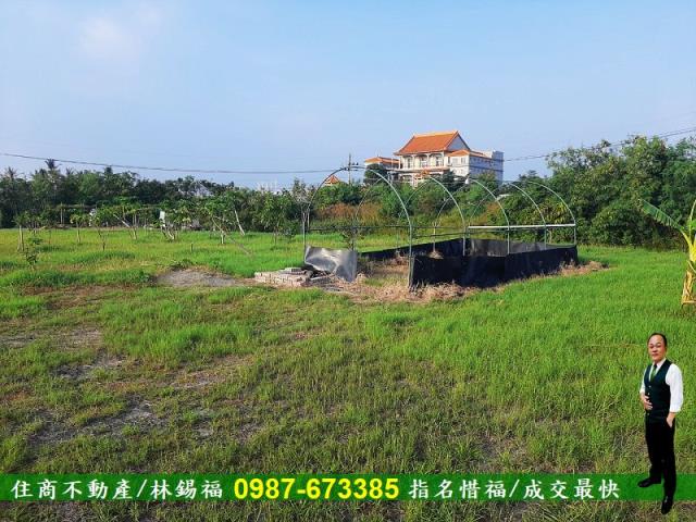 台南安南農地-7