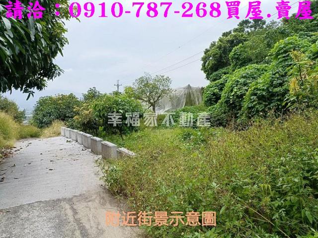 台南玉井農地-14