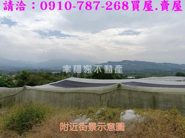 台南玉井農地-5