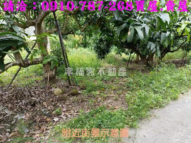 台南玉井農地-6