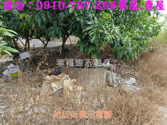 台南玉井農地-7