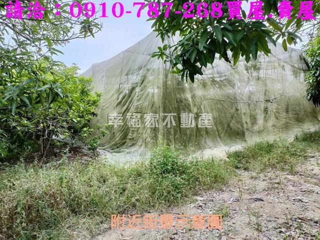 台南玉井農地-9