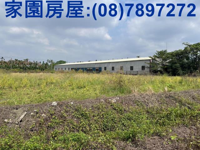 竹田農地-4