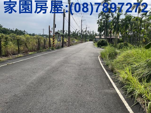 竹田農地-5