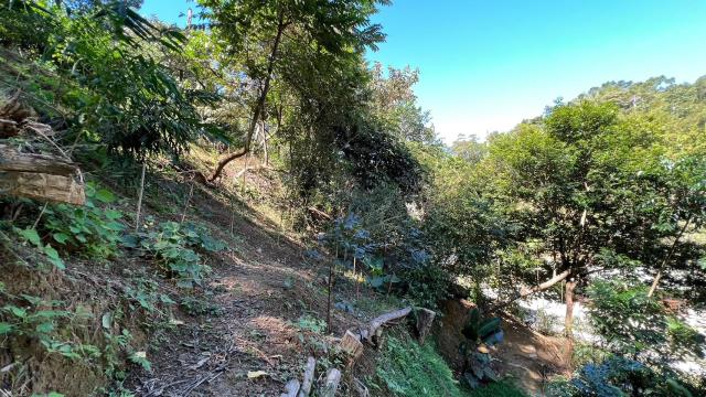 寶山林地-13