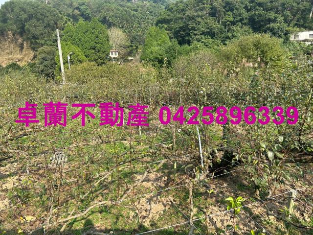 卓蘭農地-3