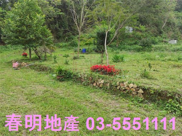新竹峨眉農地-5