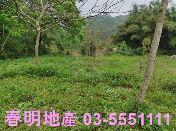 新竹峨眉農地-6