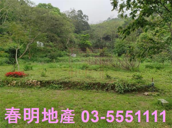 新竹峨眉農地-7