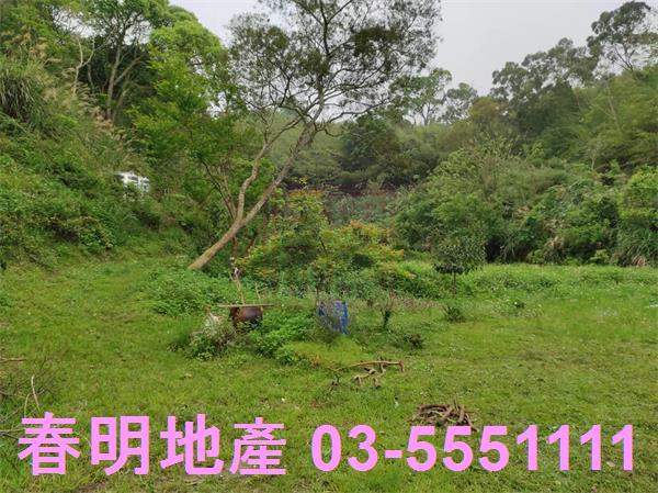 新竹峨眉農地-8
