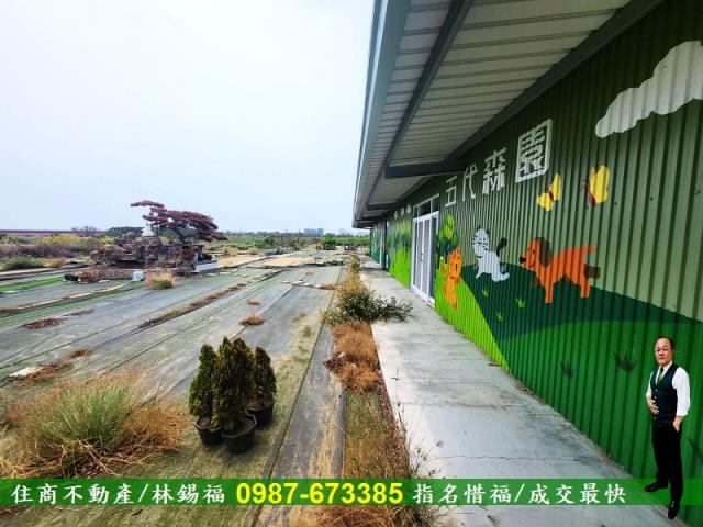 仁德農地-13