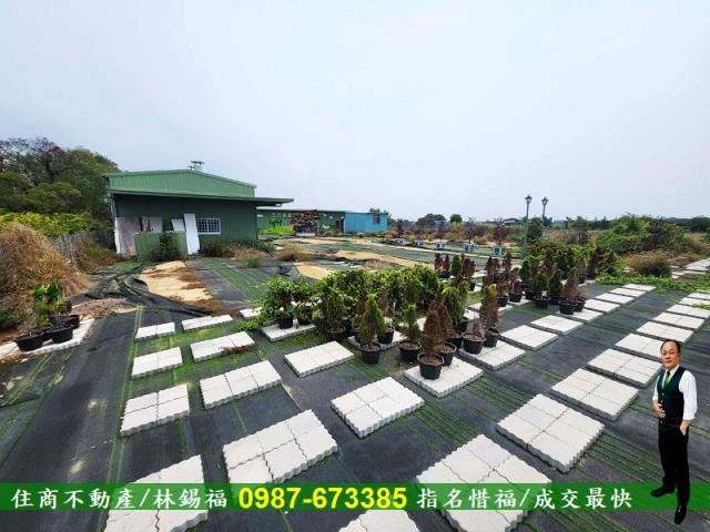仁德農地-14
