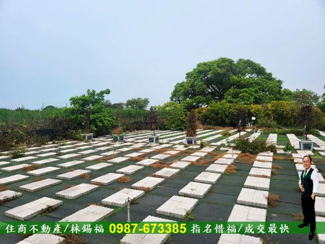 仁德農地-1