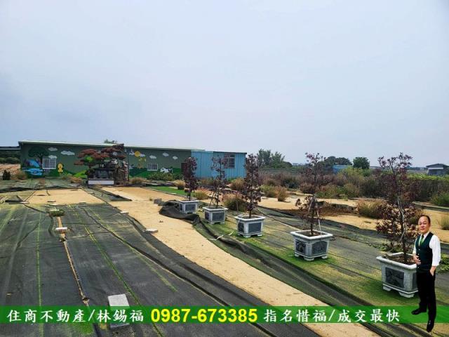 仁德農地-7