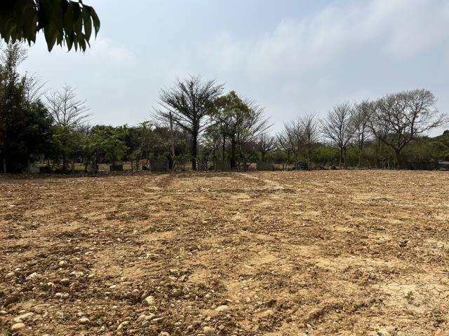 大園工業地-2