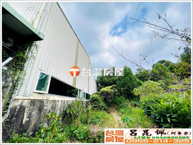 竹崎農地-6