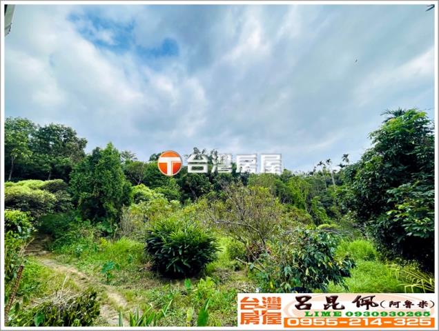 竹崎農地-7