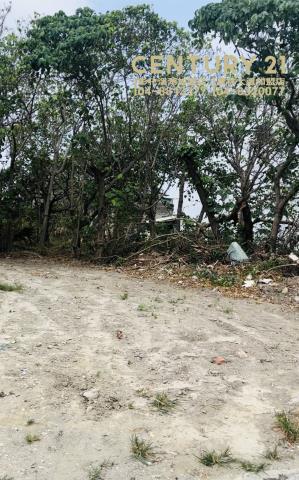 彰化芳苑建地-3