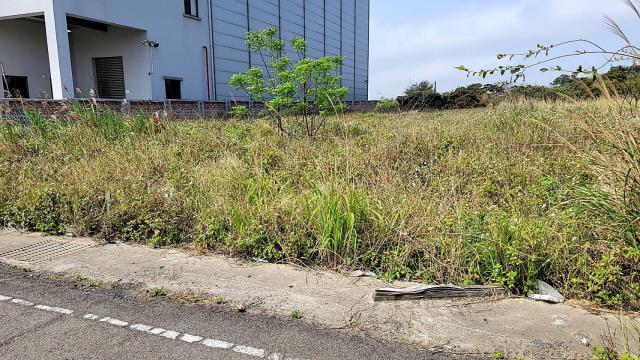 楊梅工業地-2