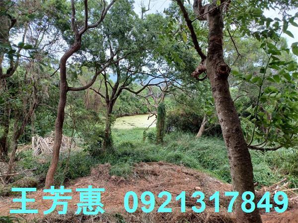 苗栗農地-12
