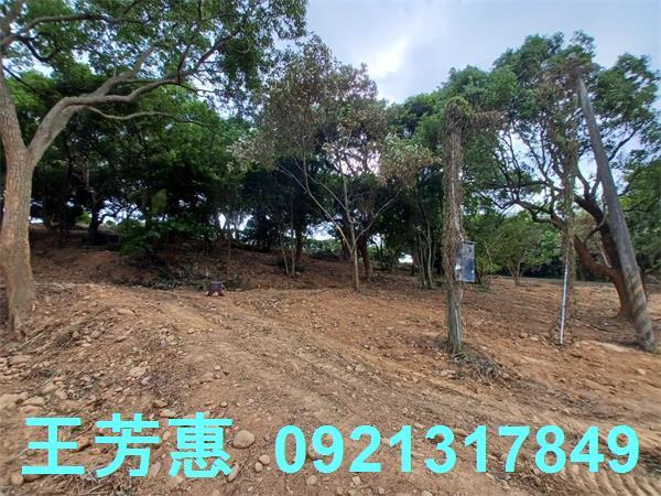 苗栗農地-13