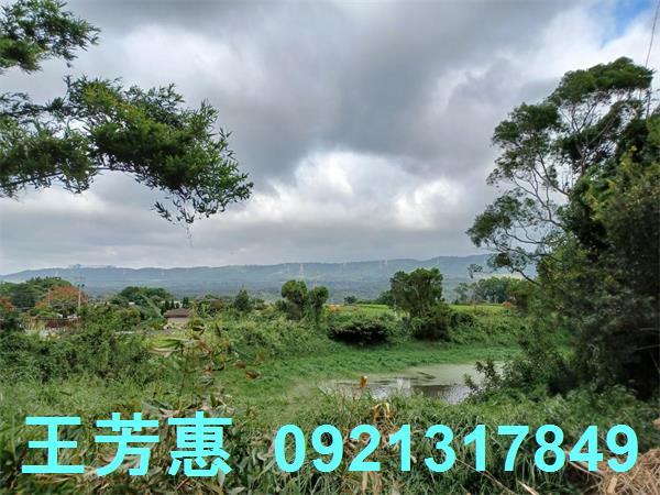 苗栗農地-14
