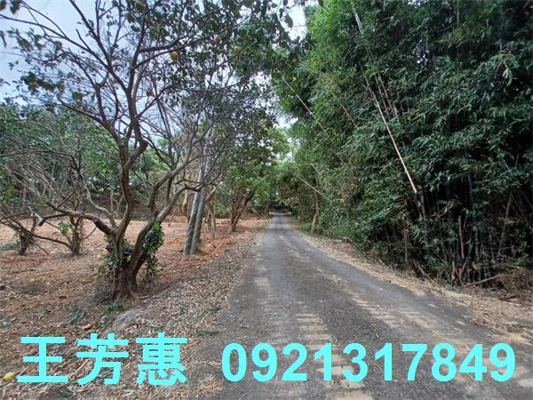苗栗農地-15
