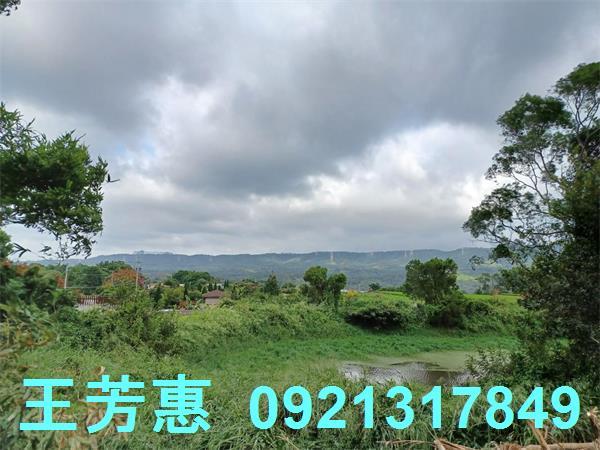 苗栗農地-1
