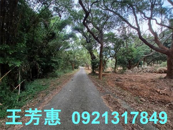 苗栗農地-2