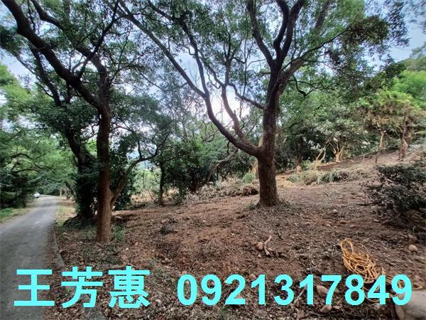 苗栗農地-3