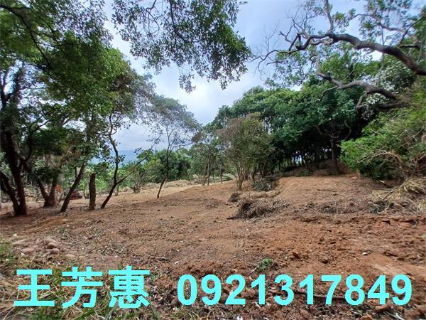 苗栗農地-6