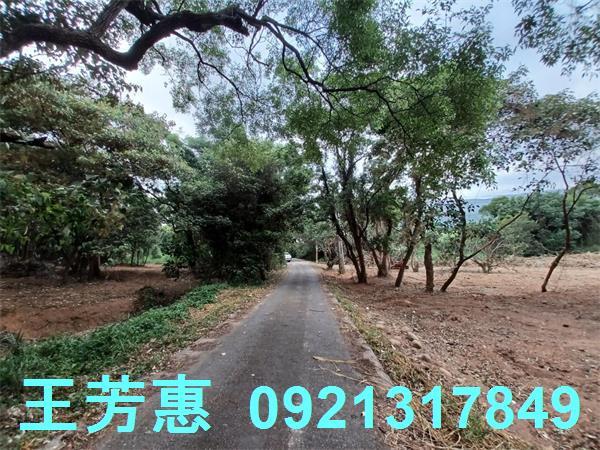 苗栗農地-7