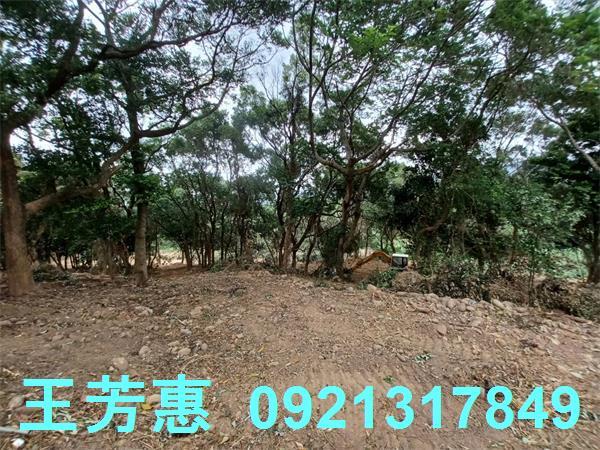 苗栗農地-9