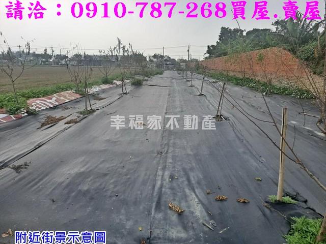 台南農地-2