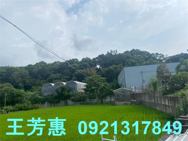 台中外埔農地-10