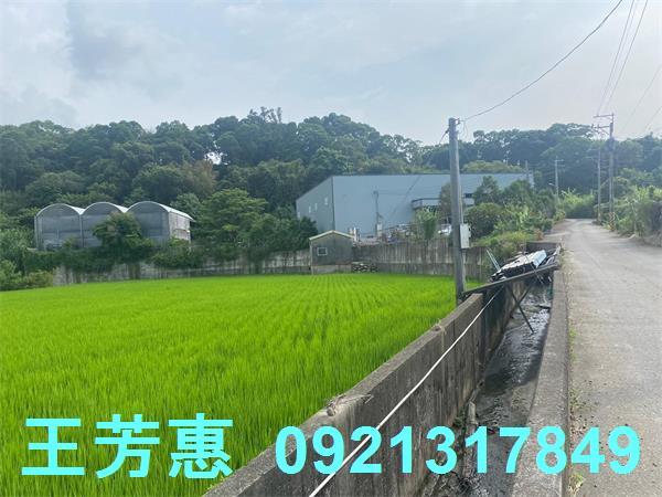 台中外埔農地-1