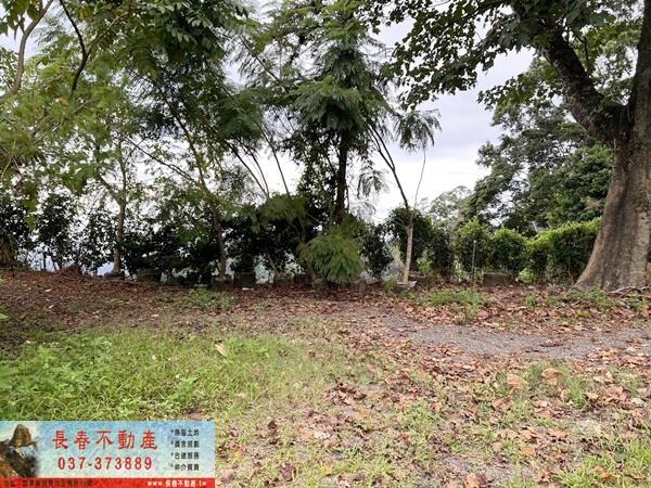 苗栗公館農地-6