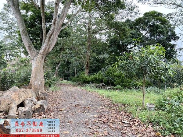 苗栗公館農地-7