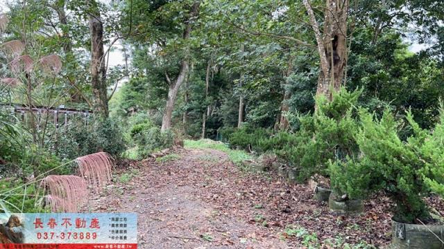 苗栗公館農地-8