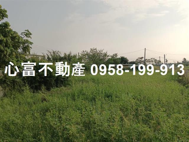 高雄路竹建地-1