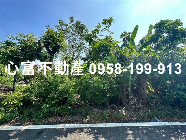 橋頭農地-1