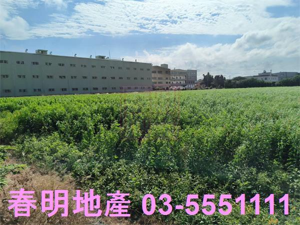新竹農地-2