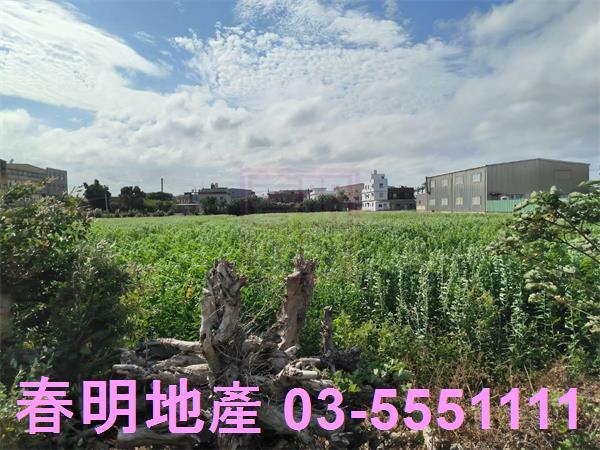 新竹農地-3
