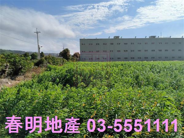 新竹農地-5