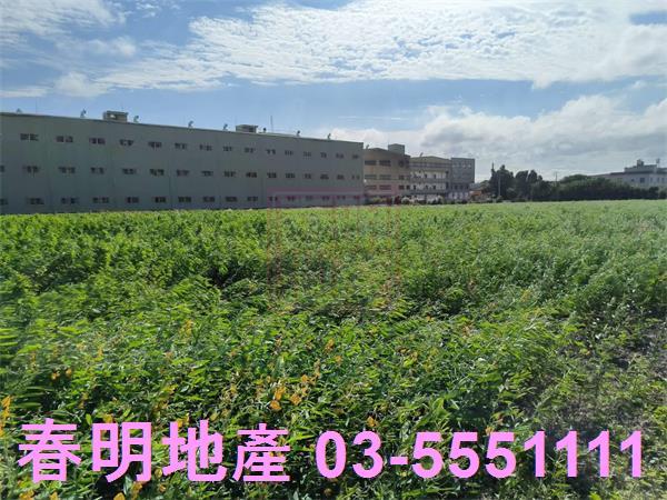 新竹農地-6