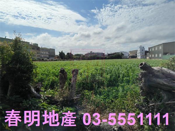 新竹農地-7
