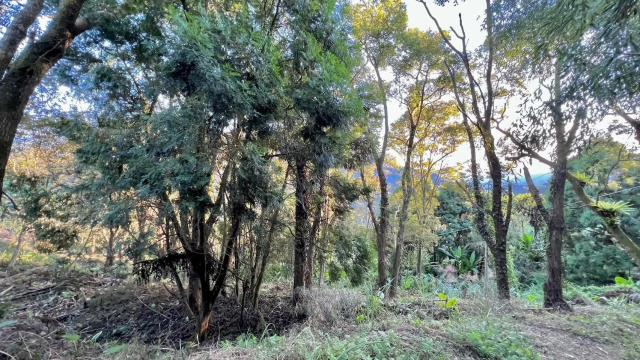 新竹農地-4
