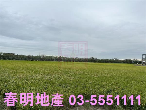 新竹香山農地-2